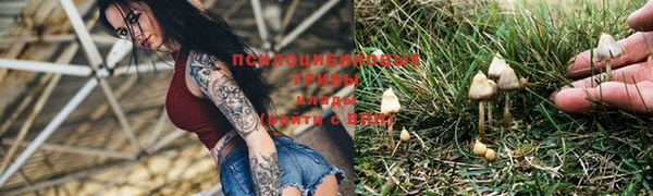 не бодяженный Инта
