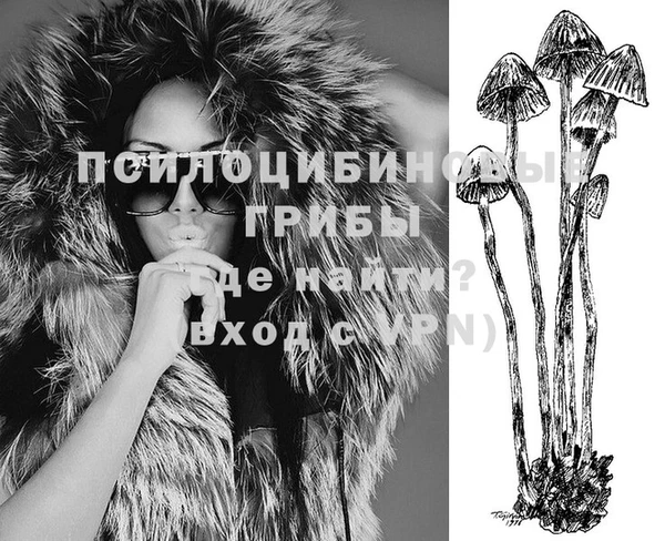 молекула духа Зеленодольск