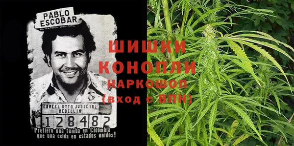молекула духа Зеленодольск